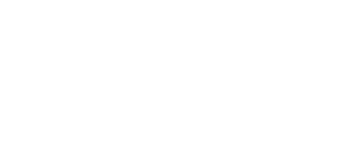 Champion Safe Company